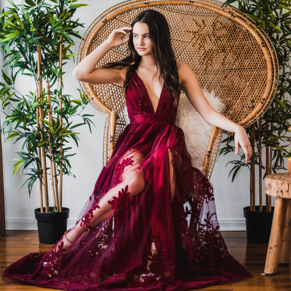Burgundy Velvet Tulle Maxi Dress - Picture 1 of 3